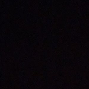 Meet your Posher, Emonnie